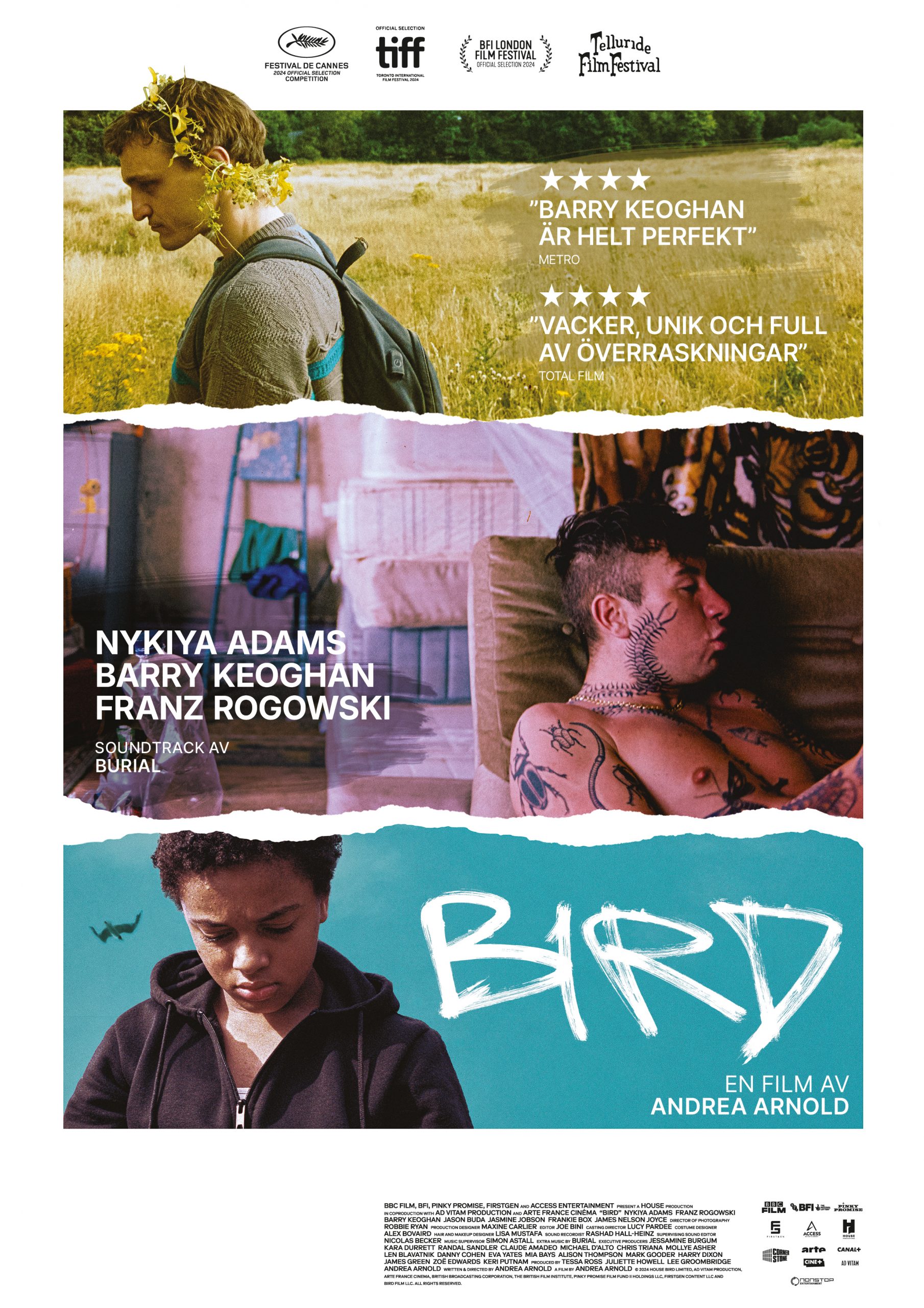 BIRD